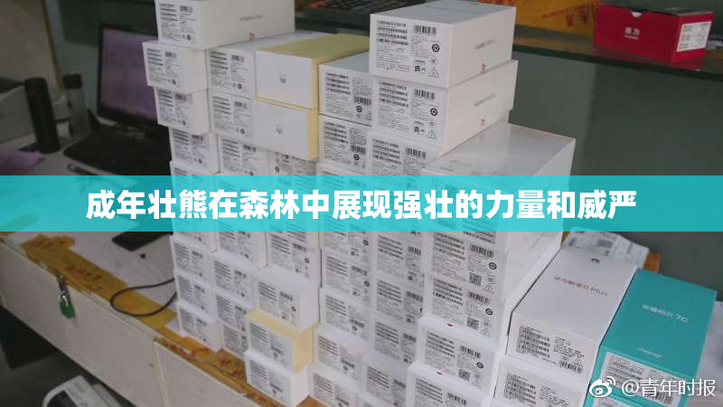成年壮熊在森林中展现强壮的力量和威严