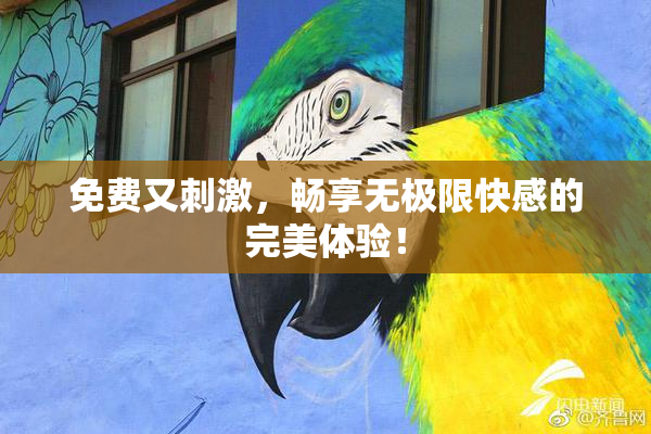 免费又刺激，畅享无极限快感的完美体验！