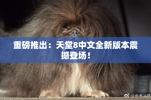 重磅推出：天堂8中文全新版本震撼登场！