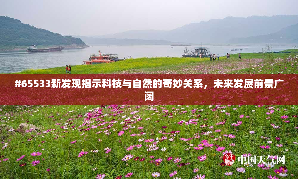 #65533新发现揭示科技与自然的奇妙关系，未来发展前景广阔