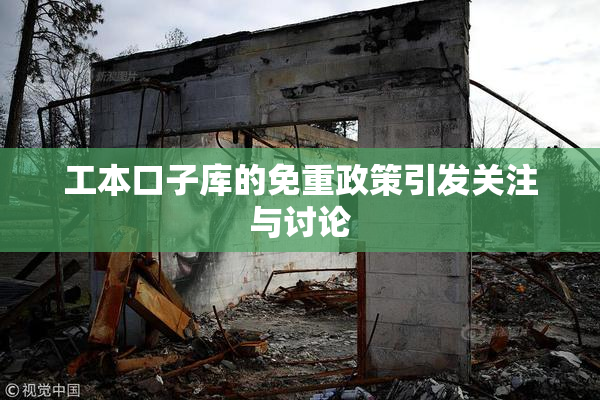 工本口子库的免重政策引发关注与讨论