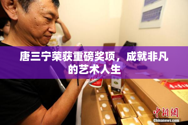 唐三宁荣获重磅奖项，成就非凡的艺术人生
