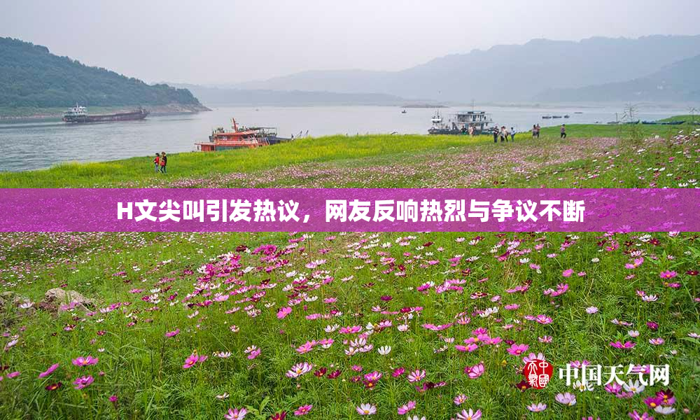 H文尖叫引发热议，网友反响热烈与争议不断
