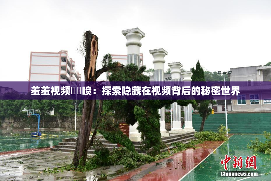 羞羞视频❌‌喷：探索隐藏在视频背后的秘密世界