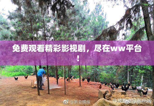 免费观看精彩影视剧，尽在ww平台！