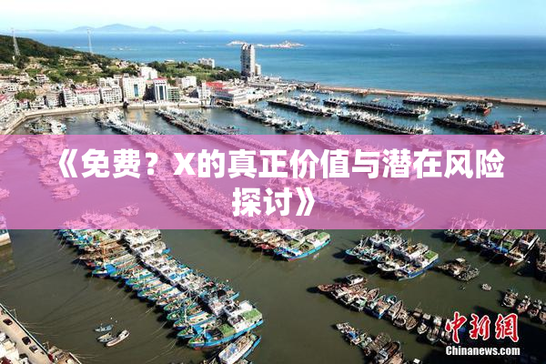 《免费？X的真正价值与潜在风险探讨》