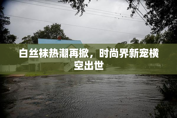 白丝袜热潮再掀，时尚界新宠横空出世