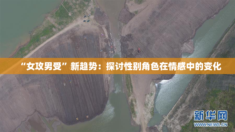 “女攻男受”新趋势：探讨性别角色在情感中的变化