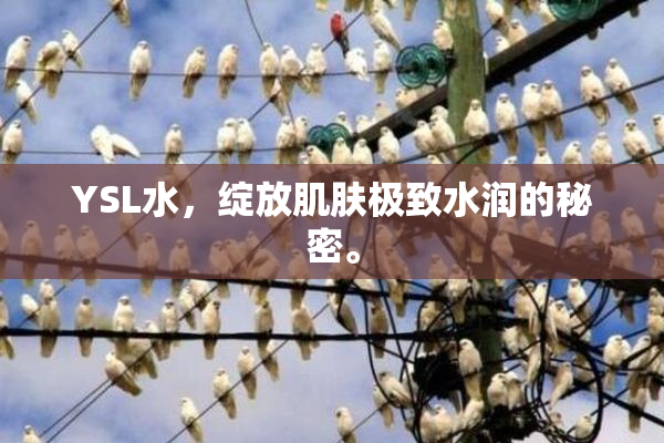 YSL水，绽放肌肤极致水润的秘密。