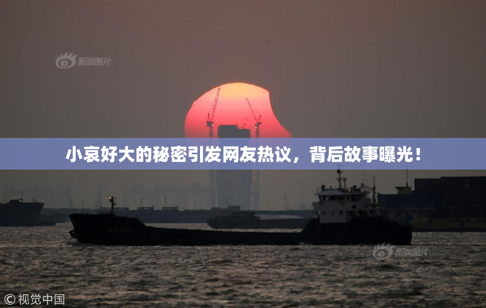 小哀好大的秘密引发网友热议，背后故事曝光！