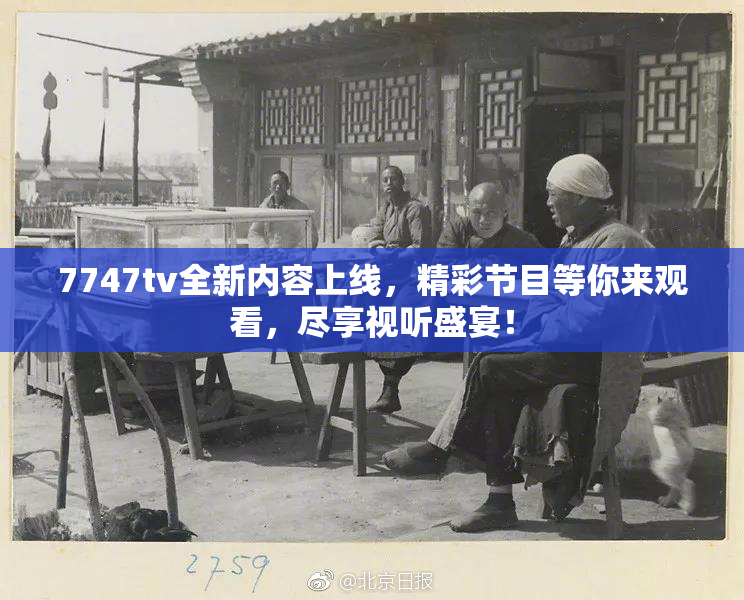 7747tv全新内容上线，精彩节目等你来观看，尽享视听盛宴！