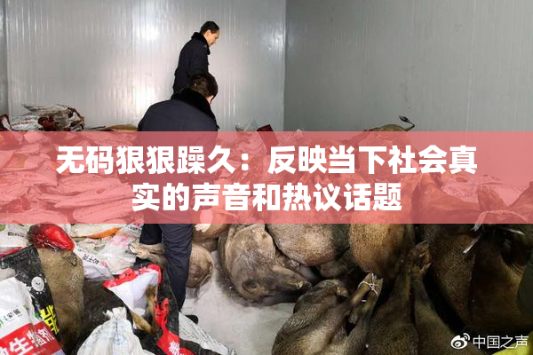无码狠狠躁久：反映当下社会真实的声音和热议话题