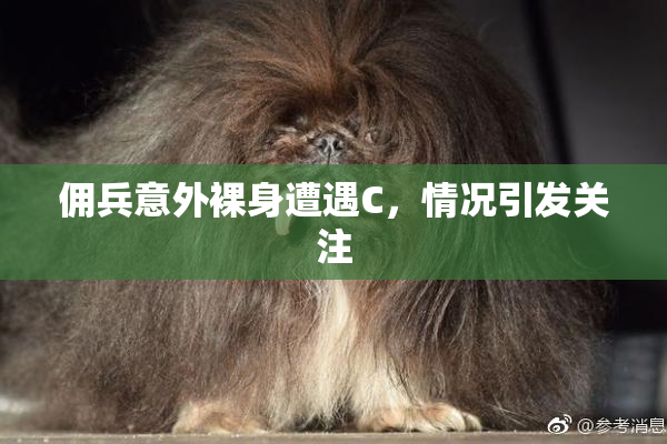 佣兵意外裸身遭遇C，情况引发关注