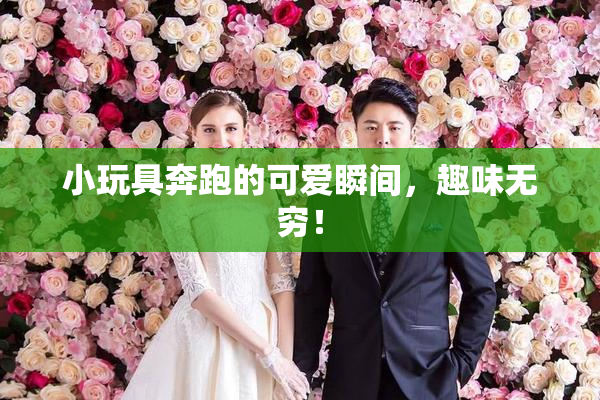 小玩具奔跑的可爱瞬间，趣味无穷！