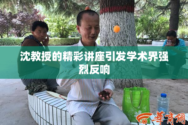 沈教授的精彩讲座引发学术界强烈反响