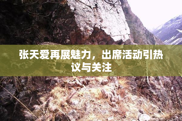 张天爱再展魅力，出席活动引热议与关注