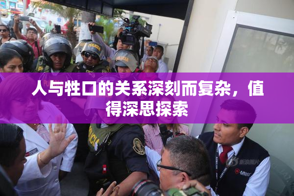人与牲口的关系深刻而复杂，值得深思探索