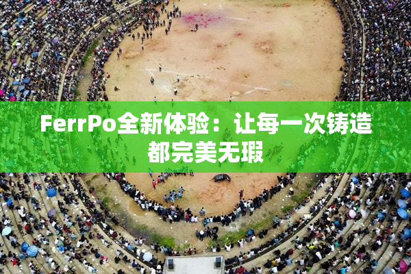 FerrPo全新体验：让每一次铸造都完美无瑕