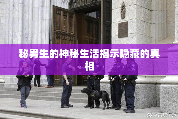 秘男生的神秘生活揭示隐藏的真相