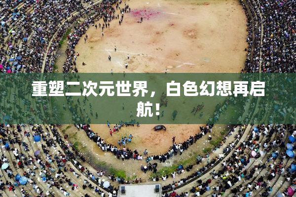 重塑二次元世界，白色幻想再启航！