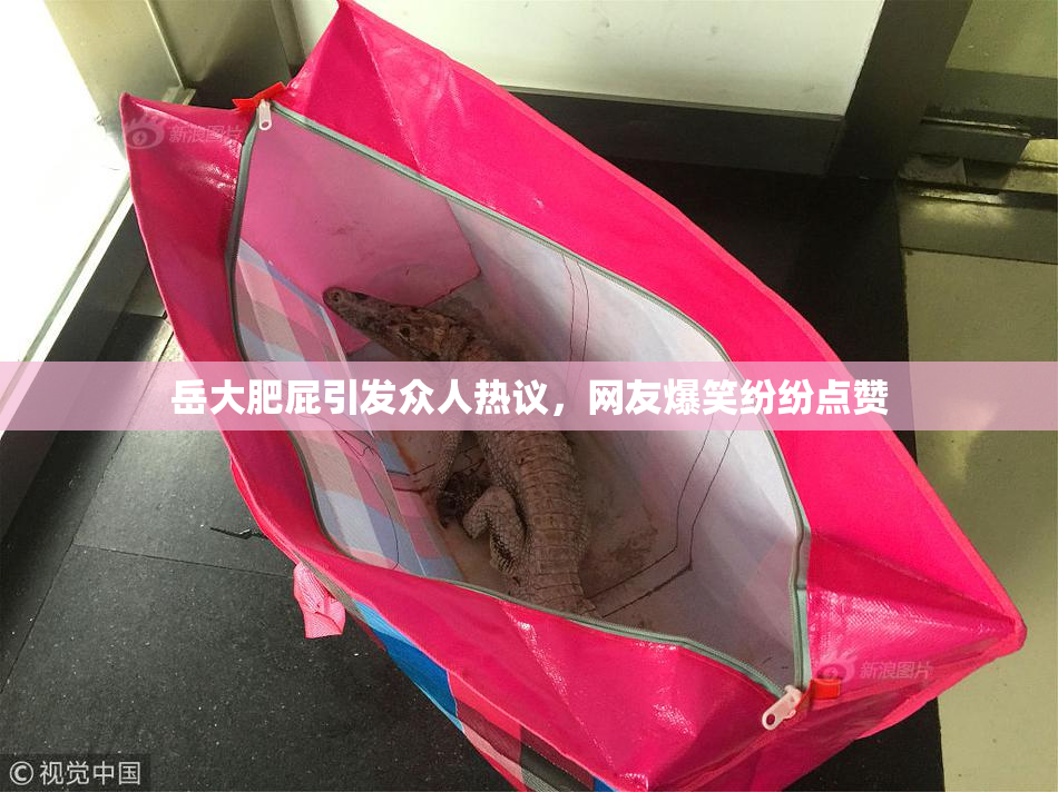 岳大肥屁引发众人热议，网友爆笑纷纷点赞