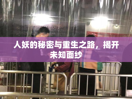 人妖的秘密与重生之路，揭开未知面纱