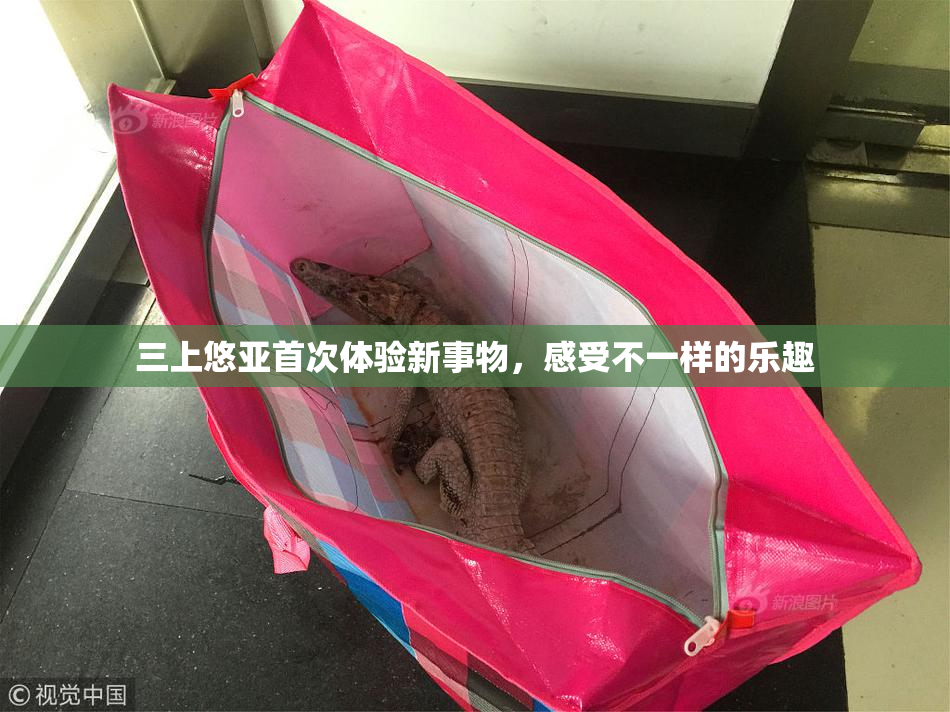 三上悠亚首次体验新事物，感受不一样的乐趣