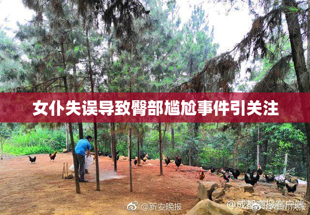 女仆失误导致臀部尴尬事件引关注