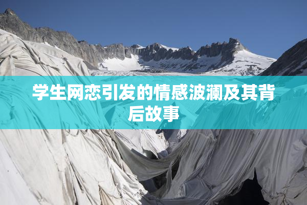 学生网恋引发的情感波澜及其背后故事