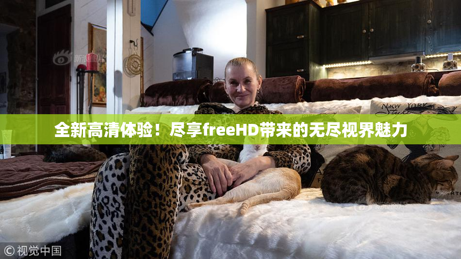 全新高清体验！尽享freeHD带来的无尽视界魅力