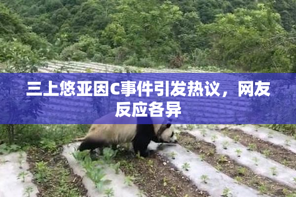 三上悠亚因C事件引发热议，网友反应各异