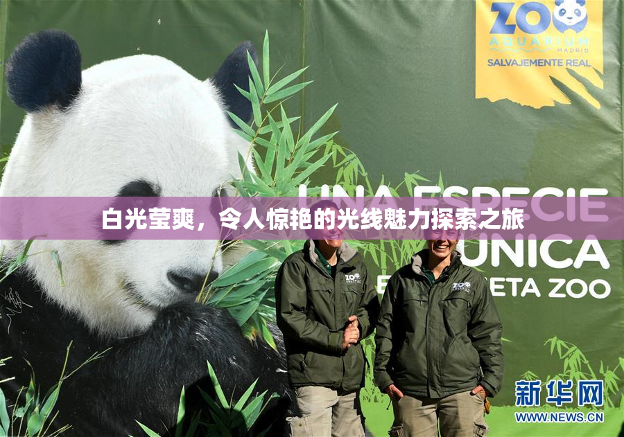 白光莹爽，令人惊艳的光线魅力探索之旅