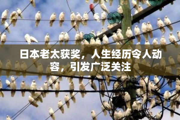 日本老太获奖，人生经历令人动容，引发广泛关注