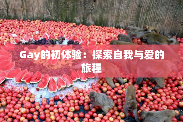 Gay的初体验：探索自我与爱的旅程