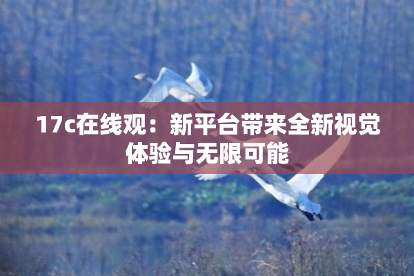 17c在线观：新平台带来全新视觉体验与无限可能