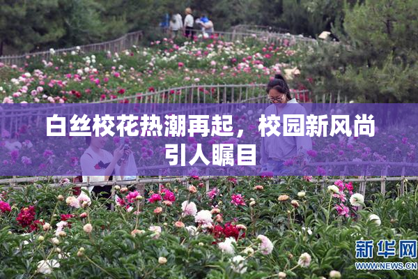 白丝校花热潮再起，校园新风尚引人瞩目