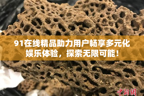 91在线精品助力用户畅享多元化娱乐体验，探索无限可能！