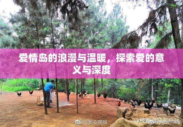 爱情岛的浪漫与温暖，探索爱的意义与深度