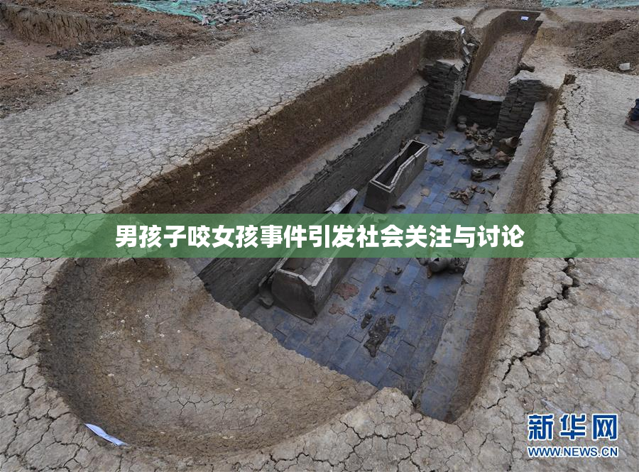 男孩子咬女孩事件引发社会关注与讨论