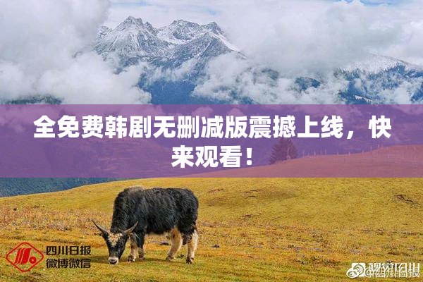 全免费韩剧无删减版震撼上线，快来观看！