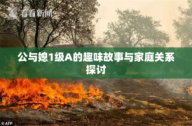 公与媳1级A的趣味故事与家庭关系探讨