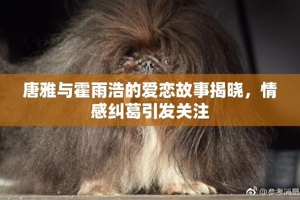 唐雅与霍雨浩的爱恋故事揭晓，情感纠葛引发关注