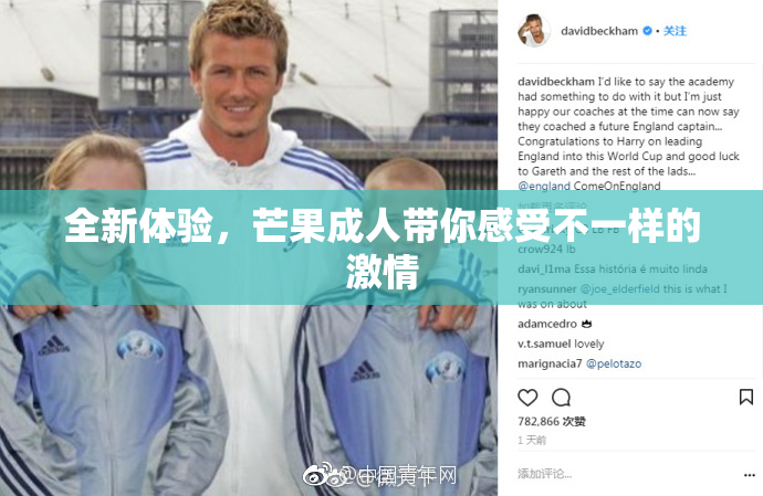 全新体验，芒果成人带你感受不一样的激情