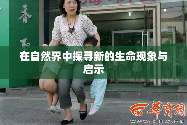 在自然界中探寻新的生命现象与启示