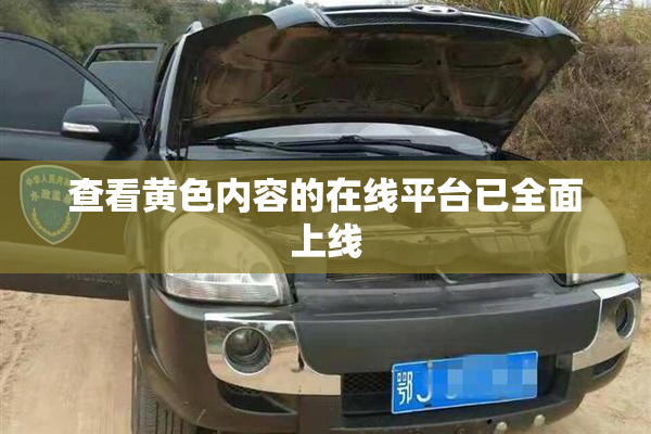 查看黄色内容的在线平台已全面上线