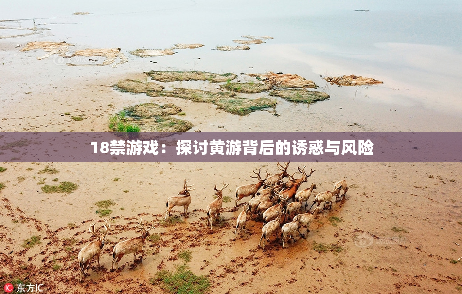 18禁游戏：探讨黄游背后的诱惑与风险