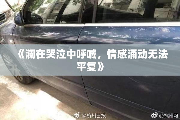 《澜在哭泣中呼喊，情感涌动无法平复》