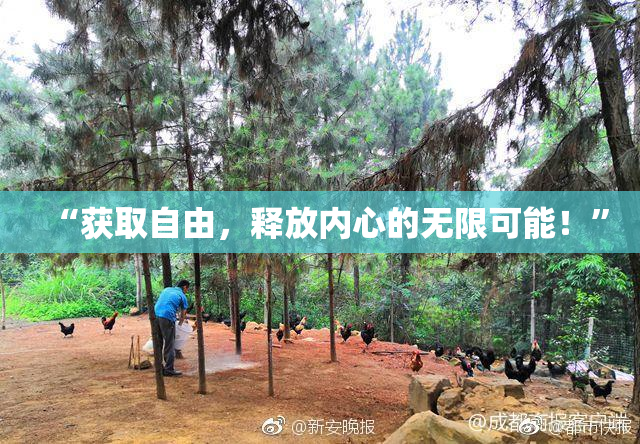 “获取自由，释放内心的无限可能！”
