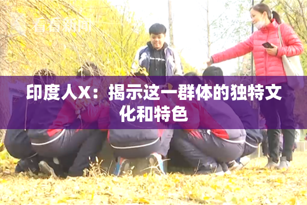 印度人X：揭示这一群体的独特文化和特色