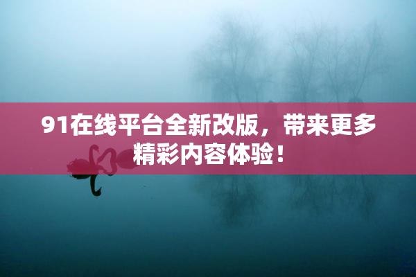 91在线平台全新改版，带来更多精彩内容体验！